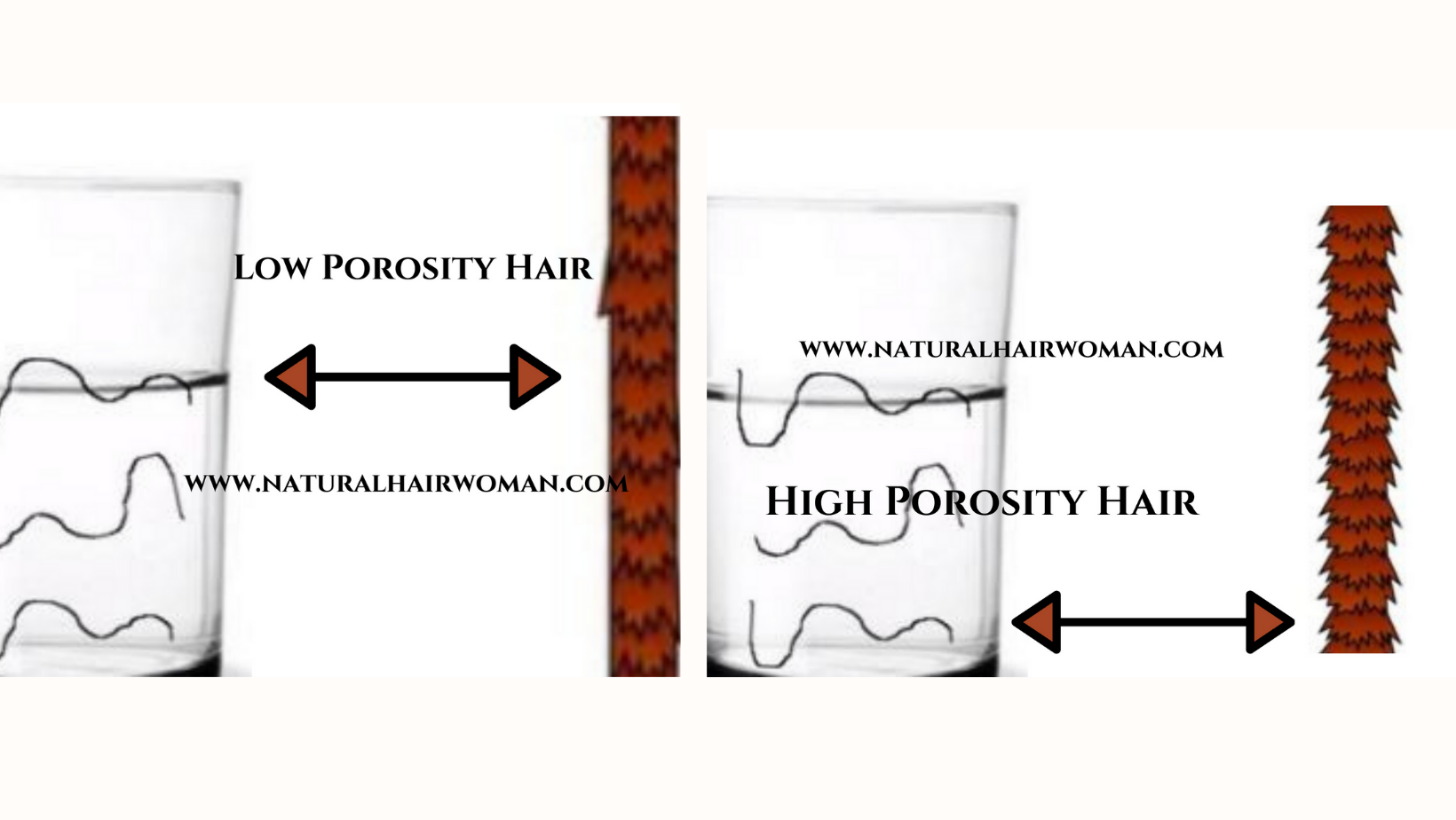 Low Porosity Hair and High Porosity Hair | Natural Hair Woman